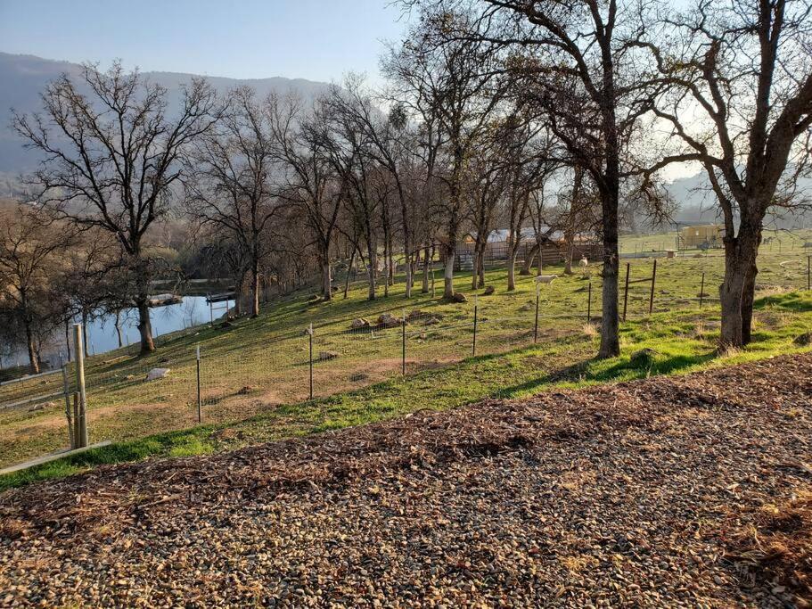 Matanah Meadows Farm, Great For 2 Families, Sequoia National Park And Working Farm Villa Three Rivers Exterior photo